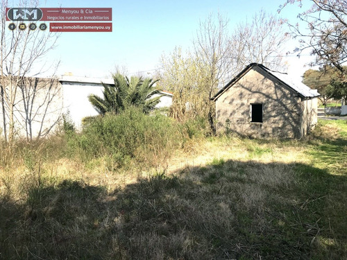 Imagen 8 de 10 de Venta Casa A Reciclar Terreno En Trinidad Flores 309m2