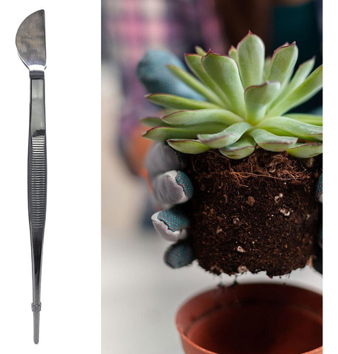 Bonsai Tweezer Acero Inoxidable, Herramienta De Curvo