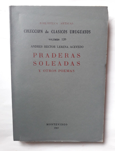 Praderas Soleadas Y Otros Poemas Lerena Acevedo Intonso V120