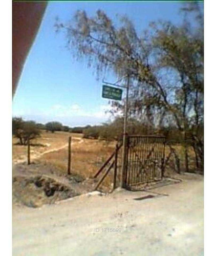 Noviciado