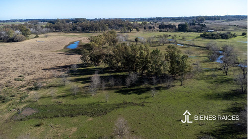 Campo En Venta De Casi 15 Has En Escalada Zarate.