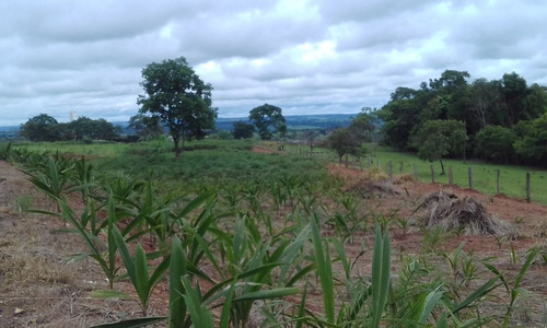 Imagem 1 de 8 de Terreno Para Posto Gasolina Ou Lanchonete
