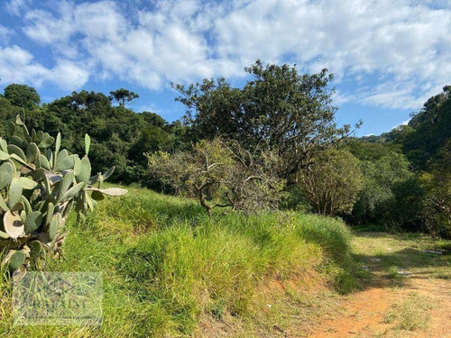 Imagem 4 de 12 de Terreno Para Vender 2000 M²- Nazaré Paulista/sp - Te0062