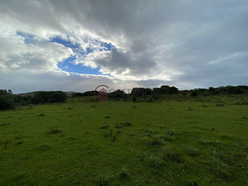 Imagen 1 de 4 de Venta De Campo, Maldonado - Mataojo - 33hs - Zona Rural