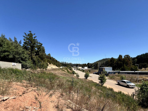 Pingueral, Proyecto Con Alta Rentabilidad En 4 Lotes