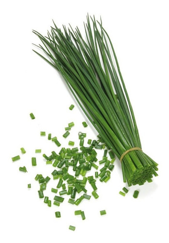 200 Semillas De Ciboulette - Huerta Premium - Aromatica