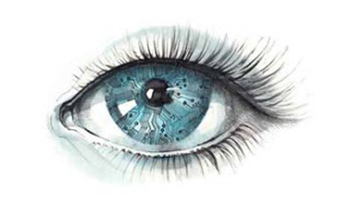 Arandano Azul Proteccion Ocular Cansancio Visual Antioxid X4