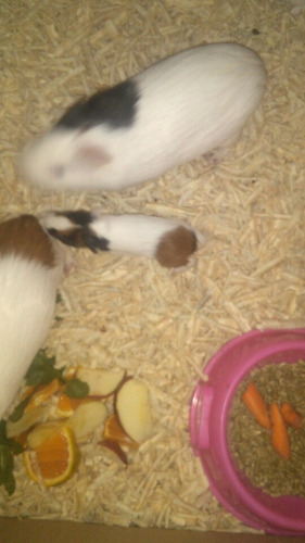 Imagen 5 de 7 de Cui Bebes