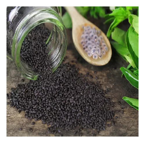 900 Semillas De Albahaca Morada Hortalizas