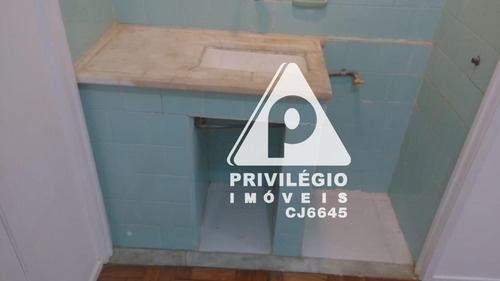 Apartamento Para Aluguel, 1 Quarto, Laranjeiras - Rio De Janeiro/rj - 29489
