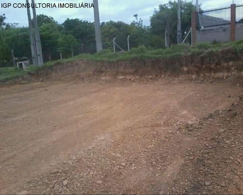 Imagem 5 de 7 de Terreno - Te02655 - 34888977