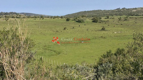 Imagen 15 de 30 de Venta - Chacra De 45 Has Muy Pintorescas En Villa Serrana