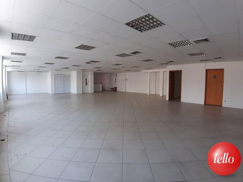 Comercial/industrial - Ref: 221528