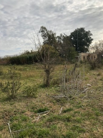 Imagen 4 de 6 de Lote De 20 X 28 Con Escritura En Lezica Y Torrezuri