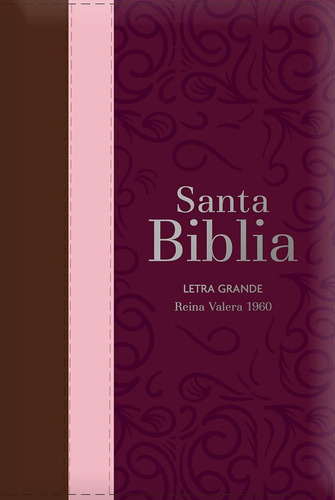 Biblia Rvr 1960 Letra Grande Con Cierre E Indice Tricolor