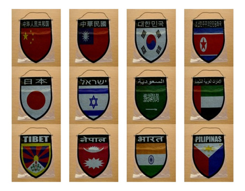 Banderin Shield Bandera 40cm Paises De Asia Todos
