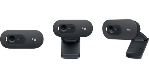 Cámara web Logitech C505 HD 30FPS color negro