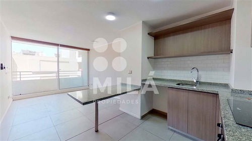 Departamento En Arriendo, Céntrico, Estc Y Bod. Santiago