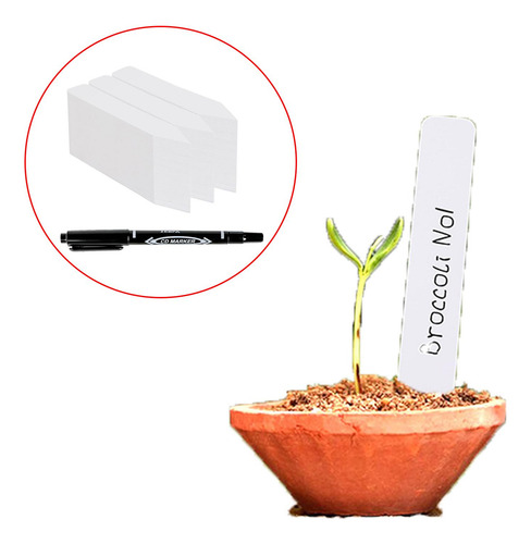 300 Etiquetas Para Plantas De Interior, Etiquetas Para