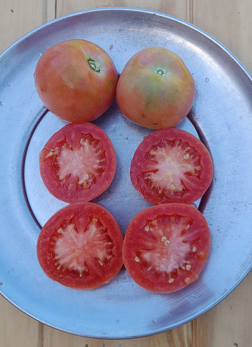 15 Semillas De Tomate Mala Cara