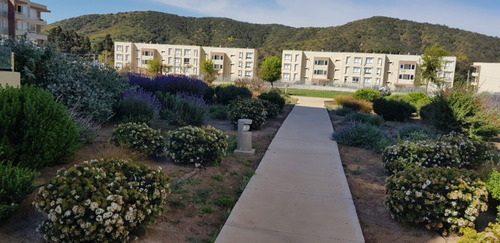 Arriendo Lomas De Papudo- Depto. 3 Dorm/2 Baños- 6 Personas
