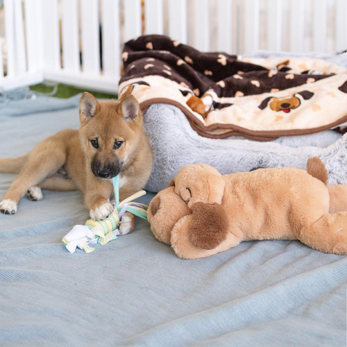 Juguete Para Perros Smartpetlove Original Snuggle Puppy Hear