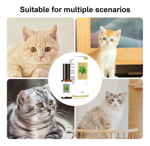 Gato Nip Spray Spray De Hierba Gatera Para Gatos 30 Ml De Al