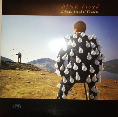 Vinilo Pink Floyd Delicate Sound Of Thunder Nuevo Sellado