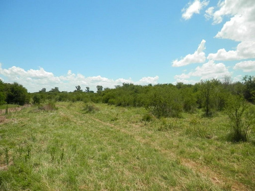 Estancia Isla Vizcaino 1569ha Ganadero Agricola Rio Negro Y Rio Uruguay