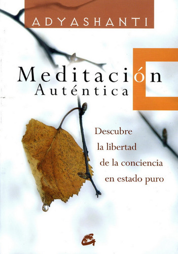 Meditacion Autentica - Adyashanti