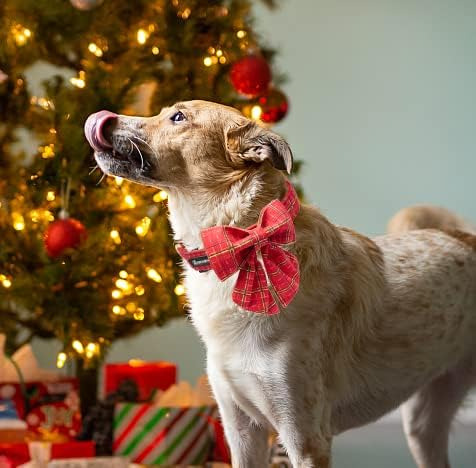Maca Bates Collar De Perro A Cuadros Navideños Con Pajarita