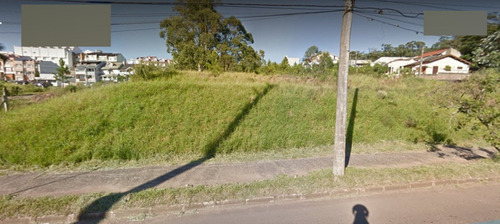 Imagem 2 de 4 de Terreno - Te00032 - 69369699
