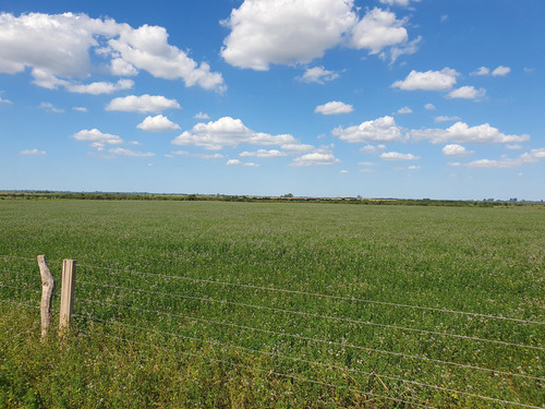 Campo En Laurencena