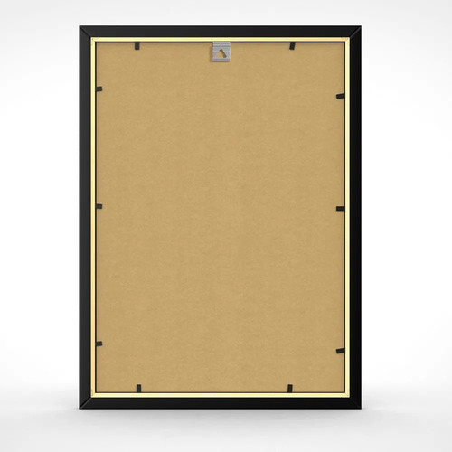 2x Quadro Coleção Moedas Comemorativas Plano Real Cédulas