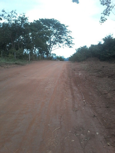 Imagem 11 de 19 de Chácara À Venda, Marilandia - Marilandia/mg - 18420