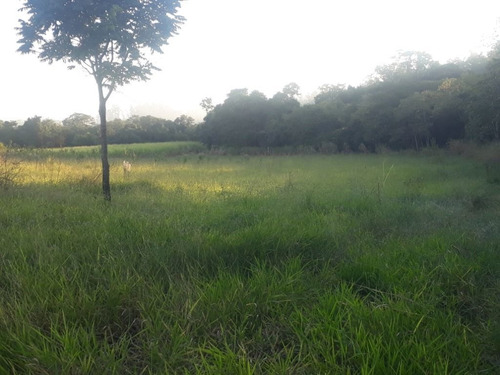 Imagem 29 de 30 de Sítio À Venda, 158994 M² Por R$ 700.000,00 - Santa Terezinha - Piracicaba/sp - Si0028