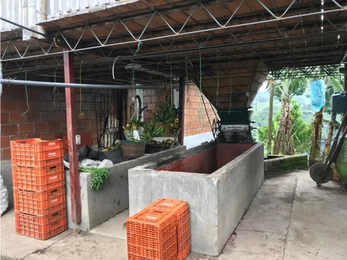 Venta Finca Productiva Cafe Platano Pasto Circasia - 23 Cuadras
