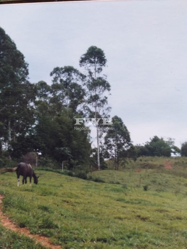 Imagem 3 de 28 de Fazenda Em Rio Preto Minas Gerais - 2044007423 - 67629041