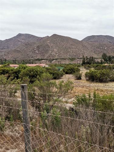 Terreno En Venta En Vicuña, Sector El Molle.