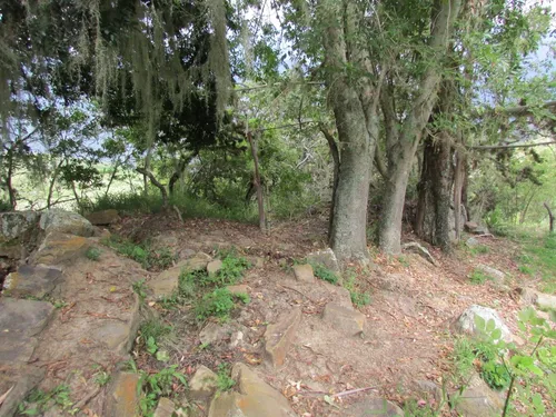 Finca En Venta (soatá - Boyacá)