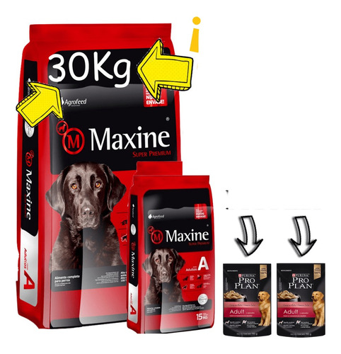 Comida Maxine Perro Adulto Combo 30 Kg + Salsas Racionya