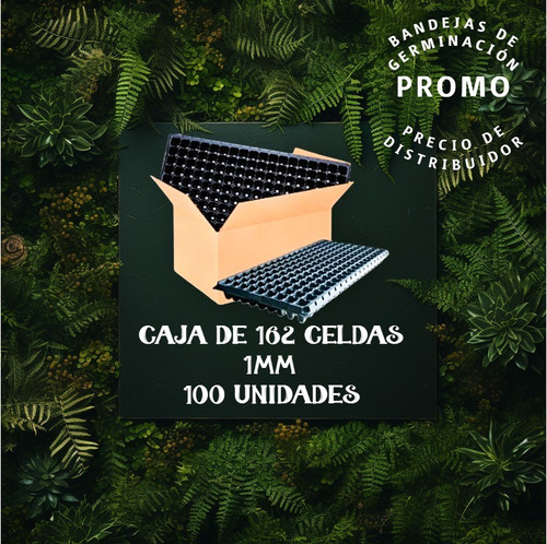 Bandeja De Germinacion 162 Celdas  1mm   (100 Unidades)