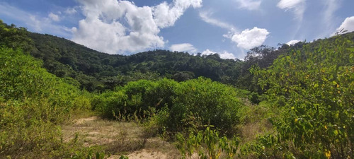 Imagen 9 de 12 de Finca En Venta Mina De Arena El Cambur. Estado Carabobo