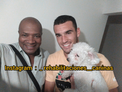 Adiestramiento Y Rehabilitaciones Caninas Ruben Silva Ruben