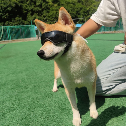 Lk Gafas De Sol Ajustables Para Perros Pequeños Y Medianos
