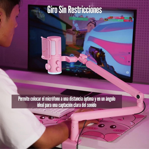 Micrófono Fifine Ampligame Tam6 Rgb Usb (incluye Brazo) Pink