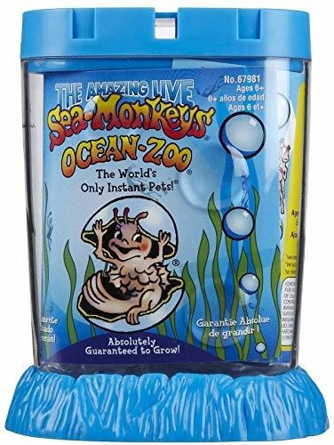 Acuario De Monos De Mar Sea-monkeys - Colores Surtidos