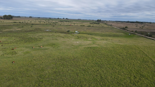 Campo En Venta 150 Hectáreas Agrícolas Con Mejoras.