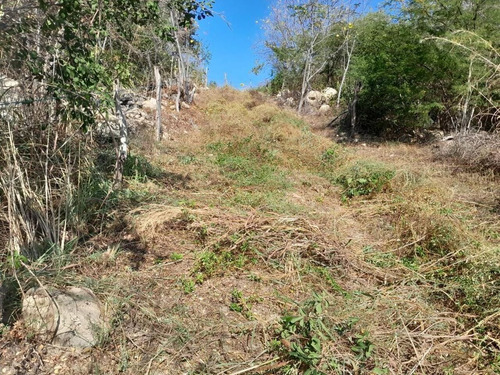 Un Paraiso A Tu Alcance