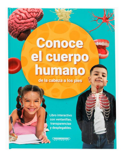 Libro Conoce El Cuerpo Humano De La Cabeza A Los Pies